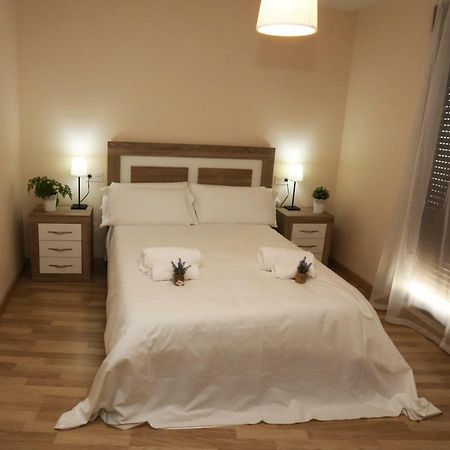 Apartamento Turisticos Puente Romano P3 1-B サラマンカ エクステリア 写真