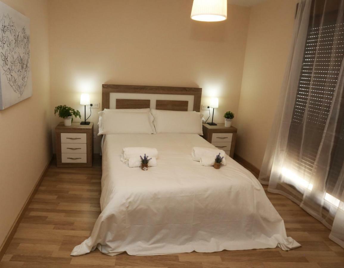 Apartamento Turisticos Puente Romano P3 1-B サラマンカ エクステリア 写真