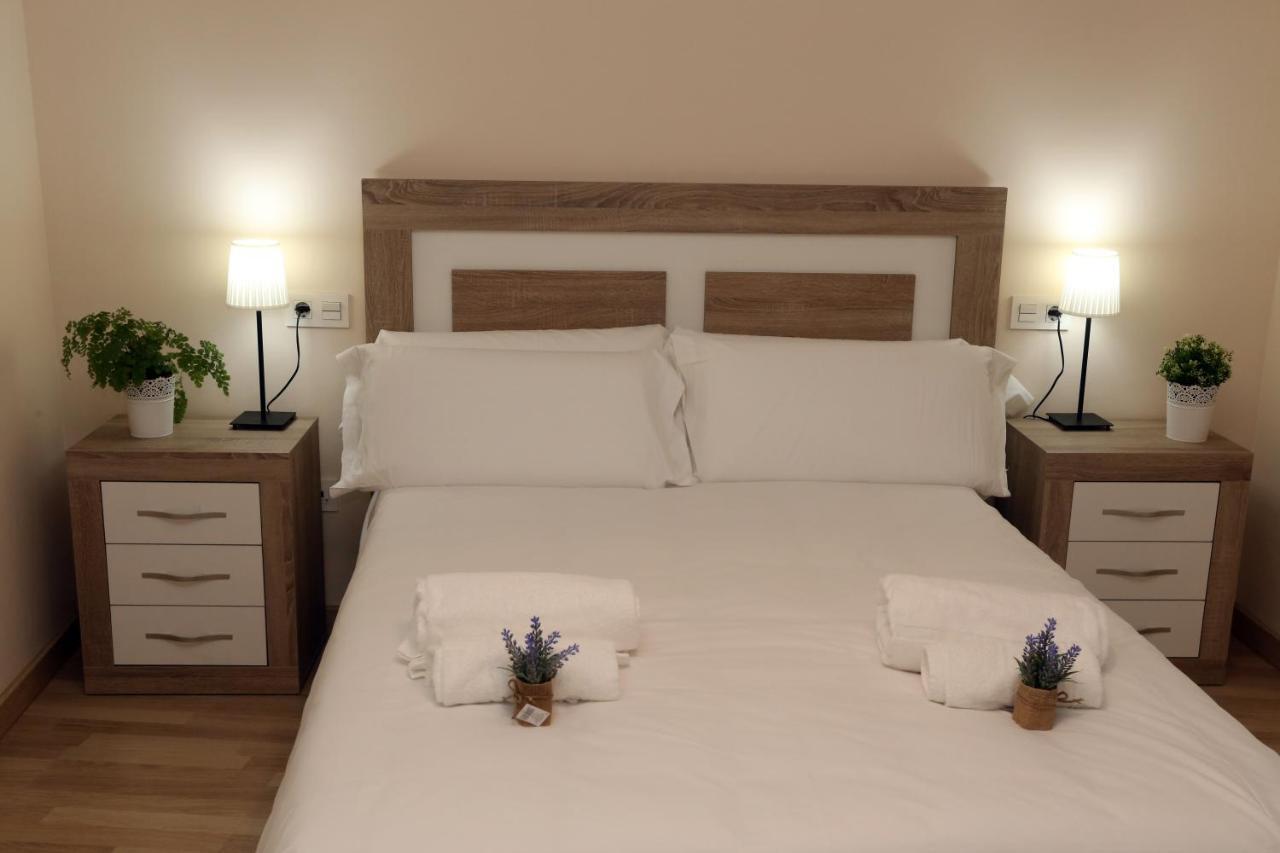 Apartamento Turisticos Puente Romano P3 1-B サラマンカ エクステリア 写真